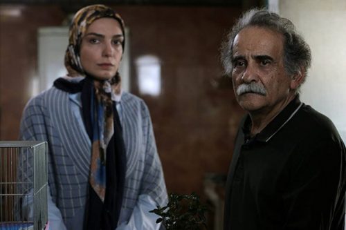 دوست داشتم فضای متفاوتی را تجربه کنم/پیشنهاد بازی در سریال «سرباز» را روی هوا زدم