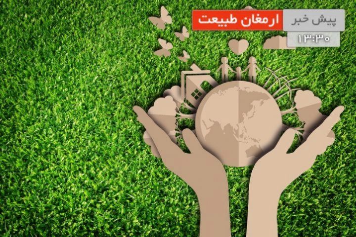 ظرفیت های تولید بلدرچین در استان اصفهان سوژه «ارمغان طبیعت»