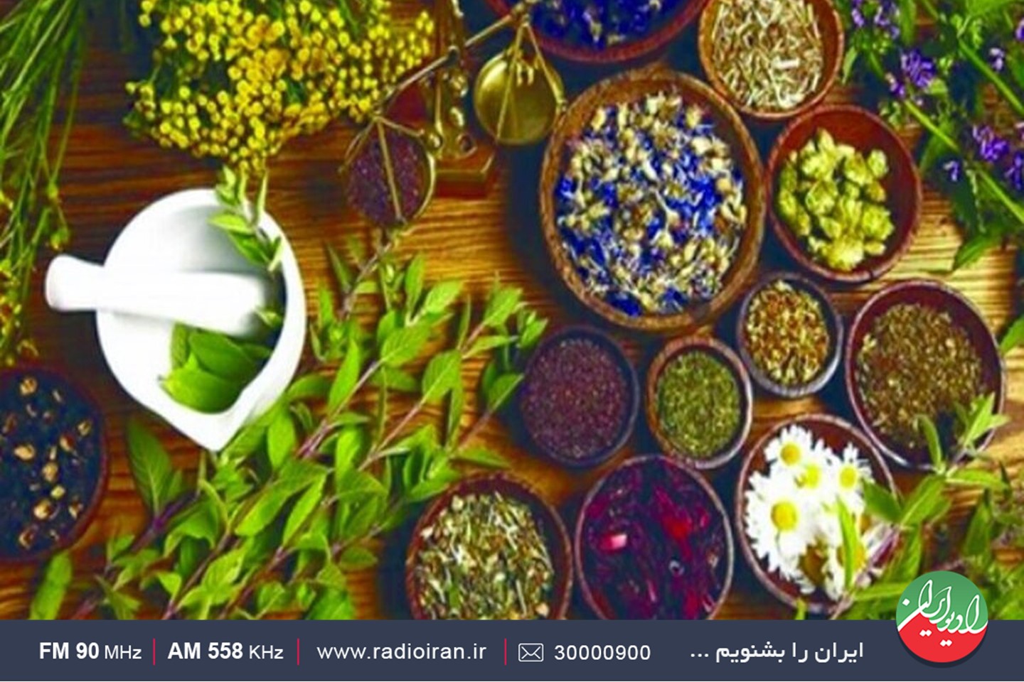 نوآوری و خلاقیت در حوزه گیاهان دارویی
