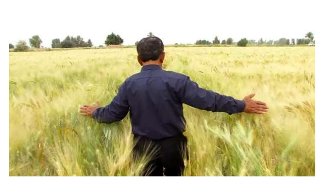 مستندهای شبکه مستند به مناسبت آغاز سال تحصیلی جدید