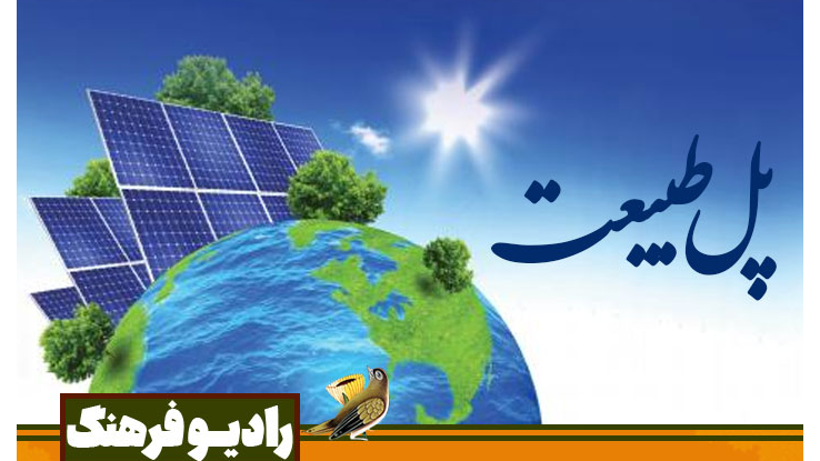 نگاهی به انرژی خورشیدی و آینده پاک ایران در «پل طبیعت»