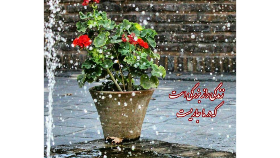 ارمغان امید و شادابی در برنامه «زندگی جاریست»
