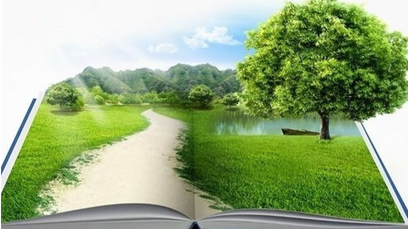 نقش پژوهش در زندگی روزمره