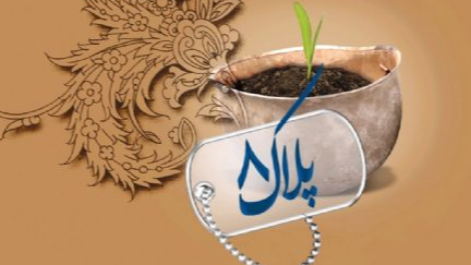 «پلاک هشت»؛ از پویش کتاب‌خوانی تا روایت فرماندهی و ایثار