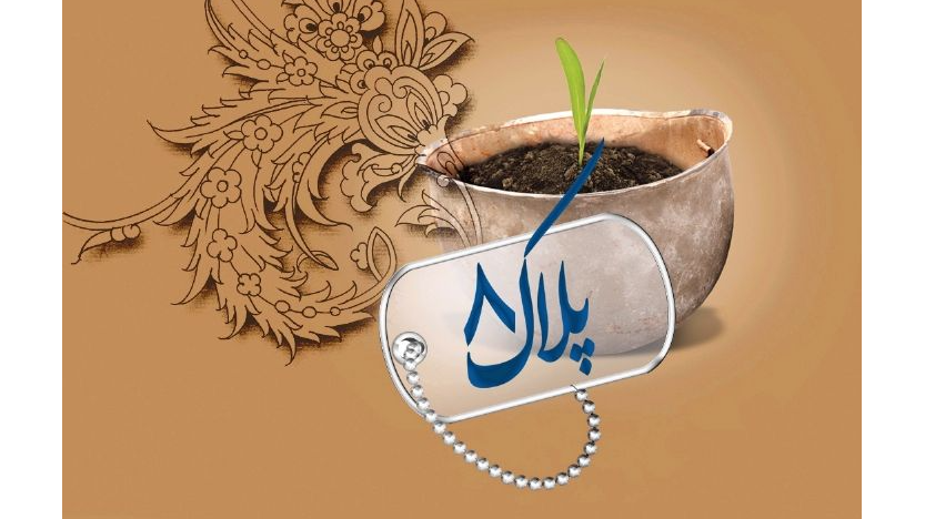 تجلیل مرکز نظارت و ارزیابی صداوسیما از برنامه «پلاک هشت»