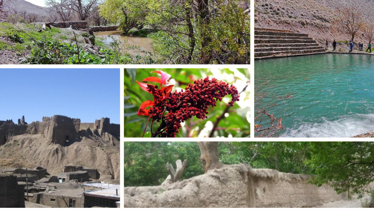 «بیدسکان»؛ روایت زندگی در طبیعت خراسان جنوبی