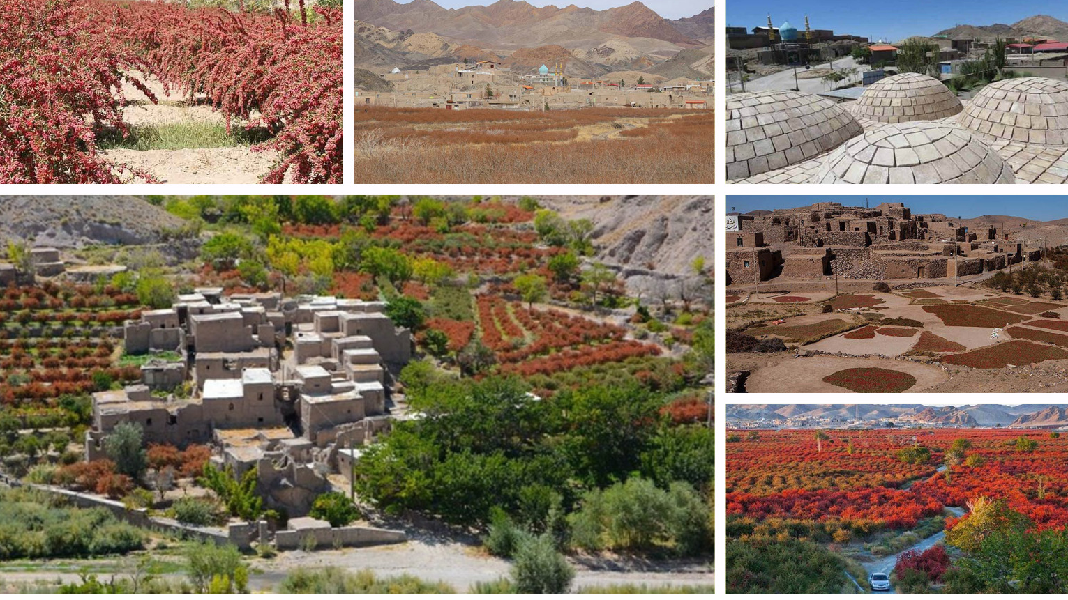 سفر رادیویی به روستای گردشگری «افین»