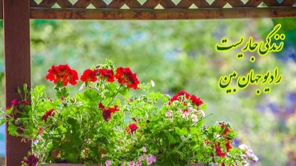«زندگی جاریست»؛ برنامه‌ای برای ارتقای آگاهی خانواده‌‌ها