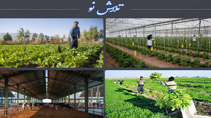 دیدنی‌های «تلاش نو» در سیمای جهان‌بین
