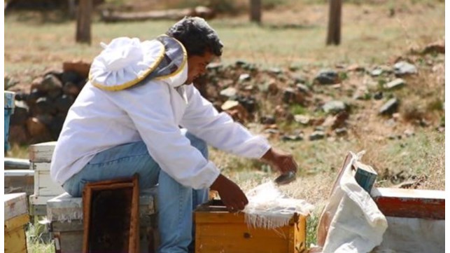 «کوچه‌باغ» در روستاهای خراسان جنوبی