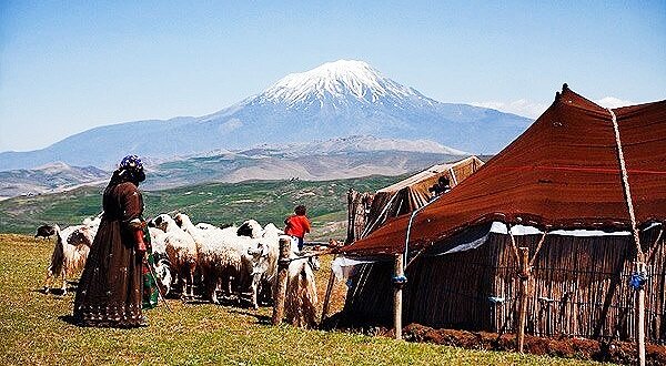 رویش در خدمات رسانی در حوزه عشایری