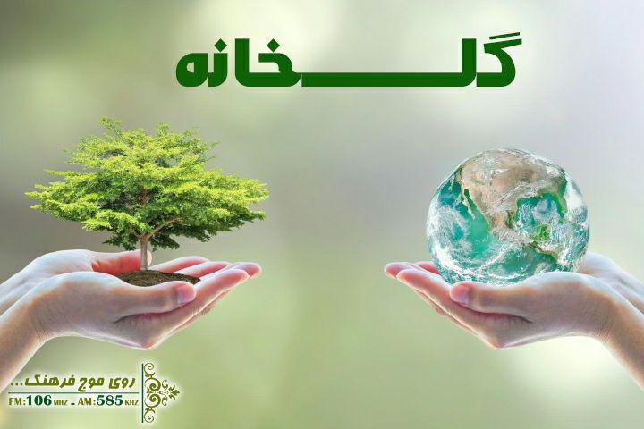 در گلخانه رادیو فرهنگ قدم بزنید
