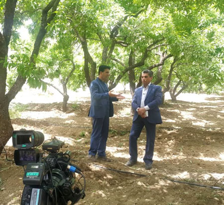 «تلاش نو» برای جهش تولید