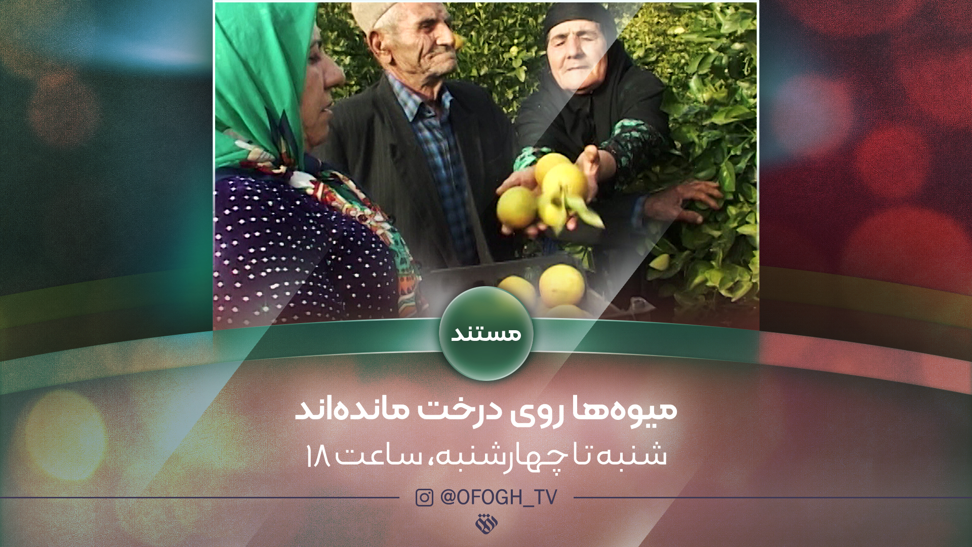 میوه‌ ها روی درخت شبکه افق مانده‌ اند