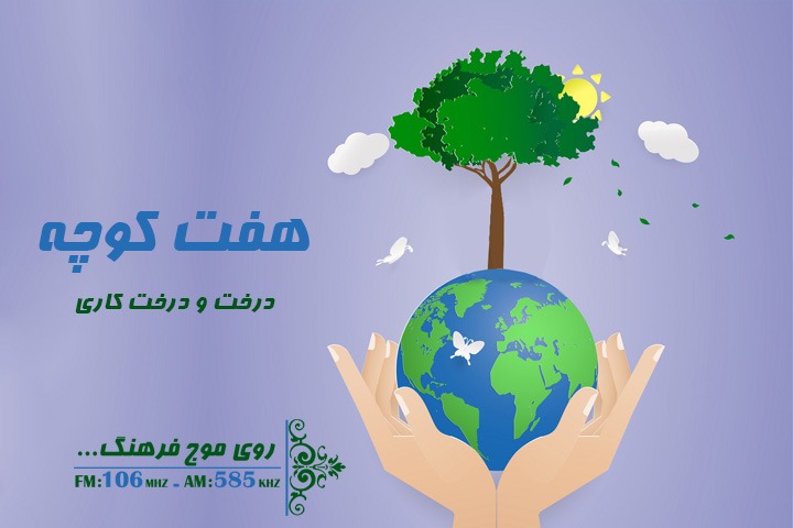 در هفت کوچه درخت بکارید