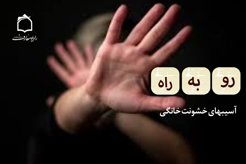 آسیب های خشونت خانگی در برنامه «رو به راه»